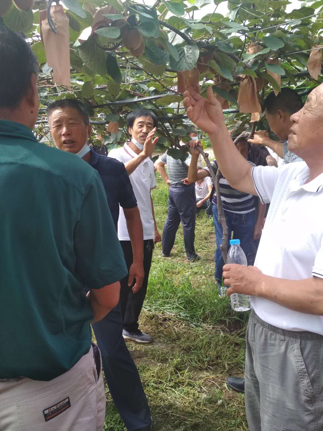 &#31859;&#20848;